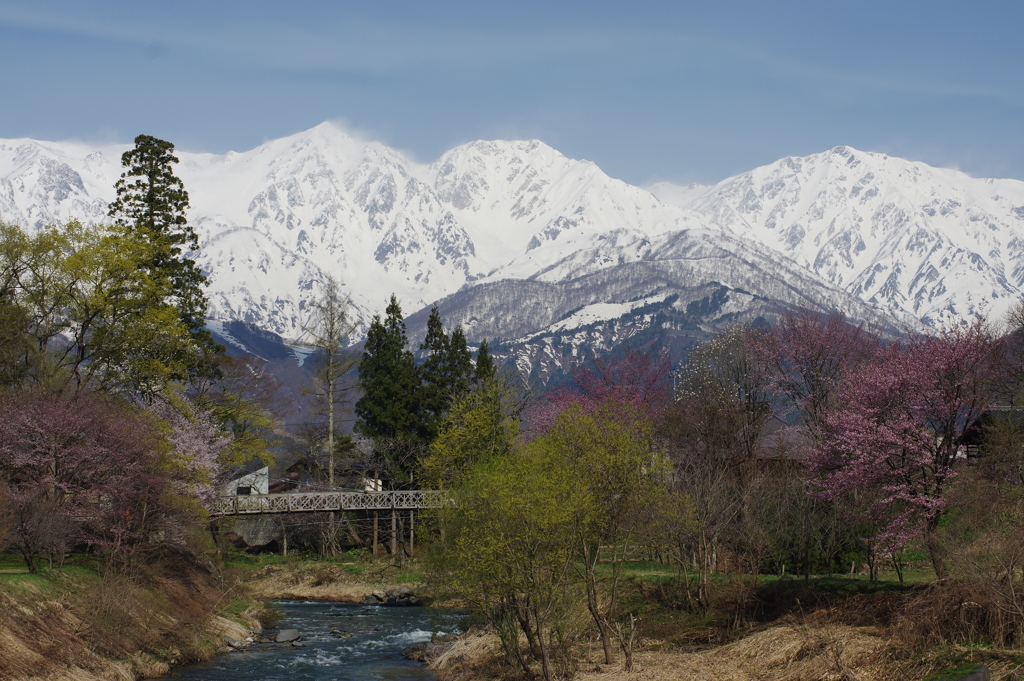 白馬三山の春