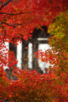 清水寺