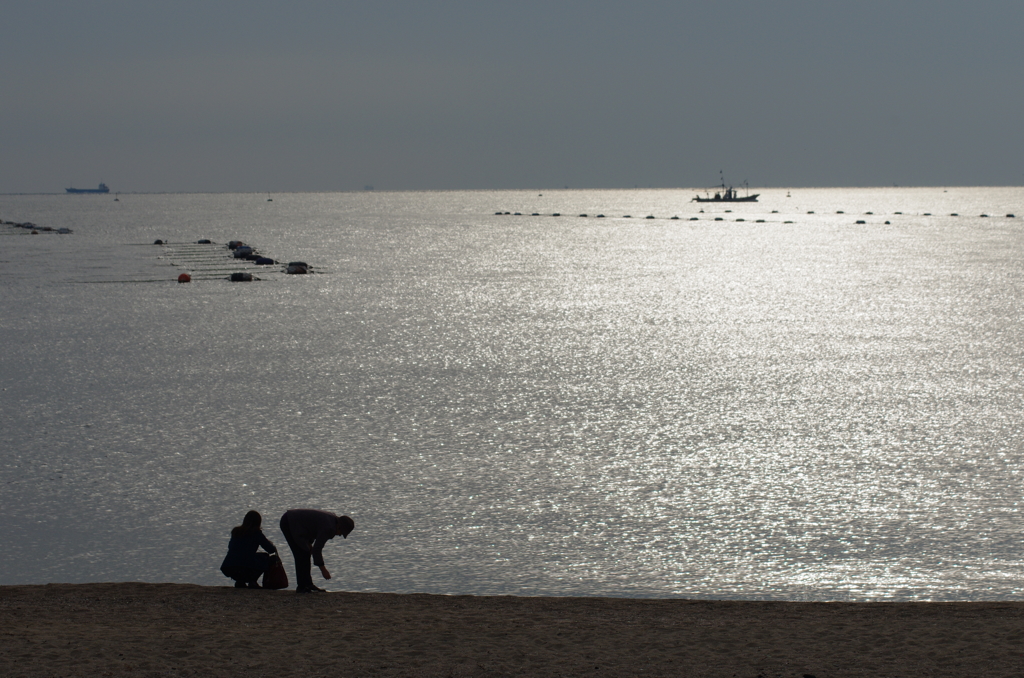 秋の海岸