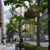 歩道