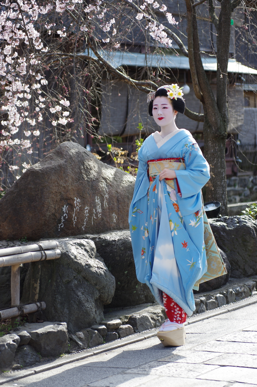 祇園白川芸舞妓散歩