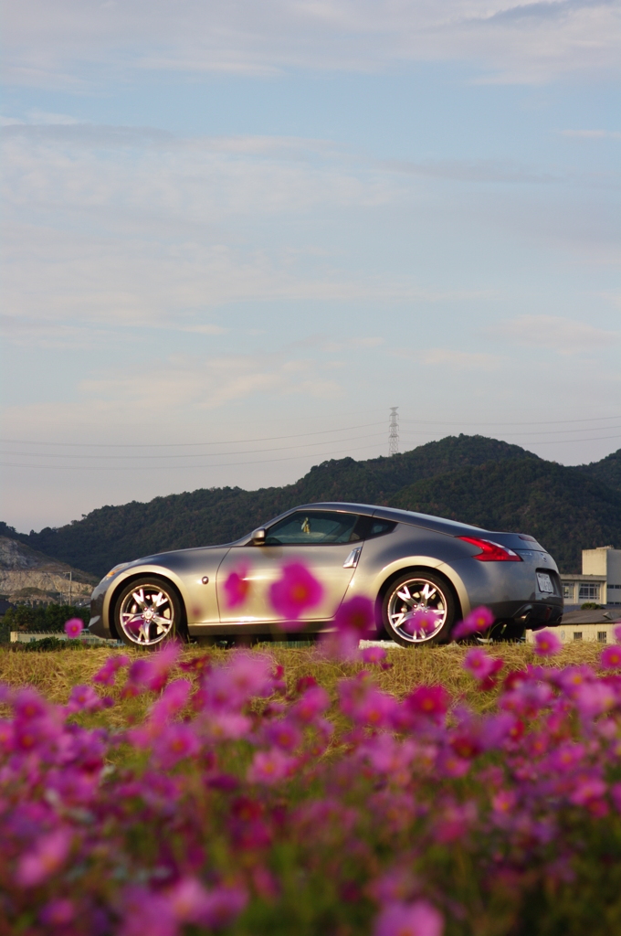 FAIRLADY