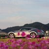 FAIRLADY