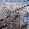 桜トンネル南交差点