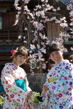 京都着物美人散歩