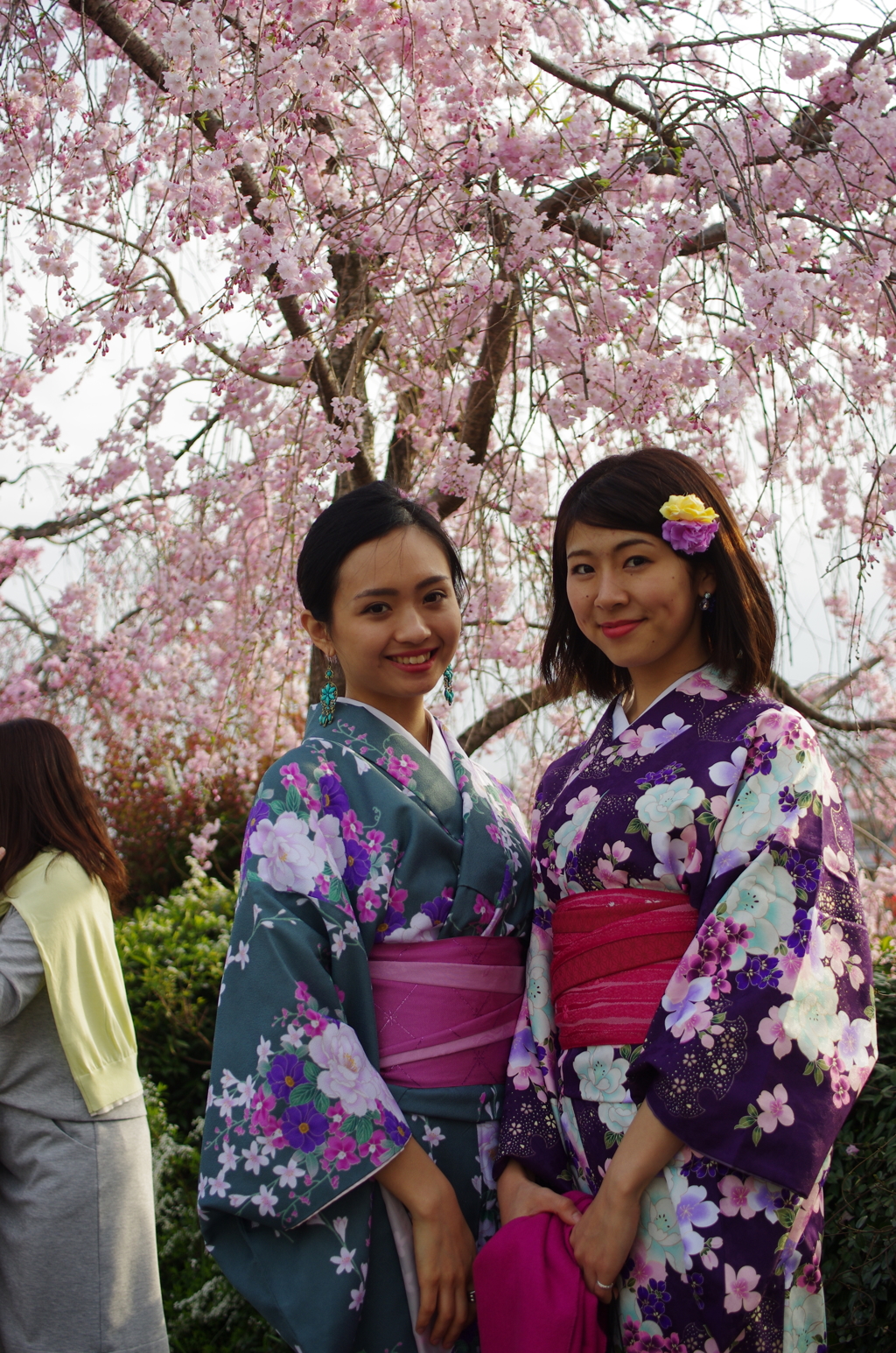 京都着物美人散歩