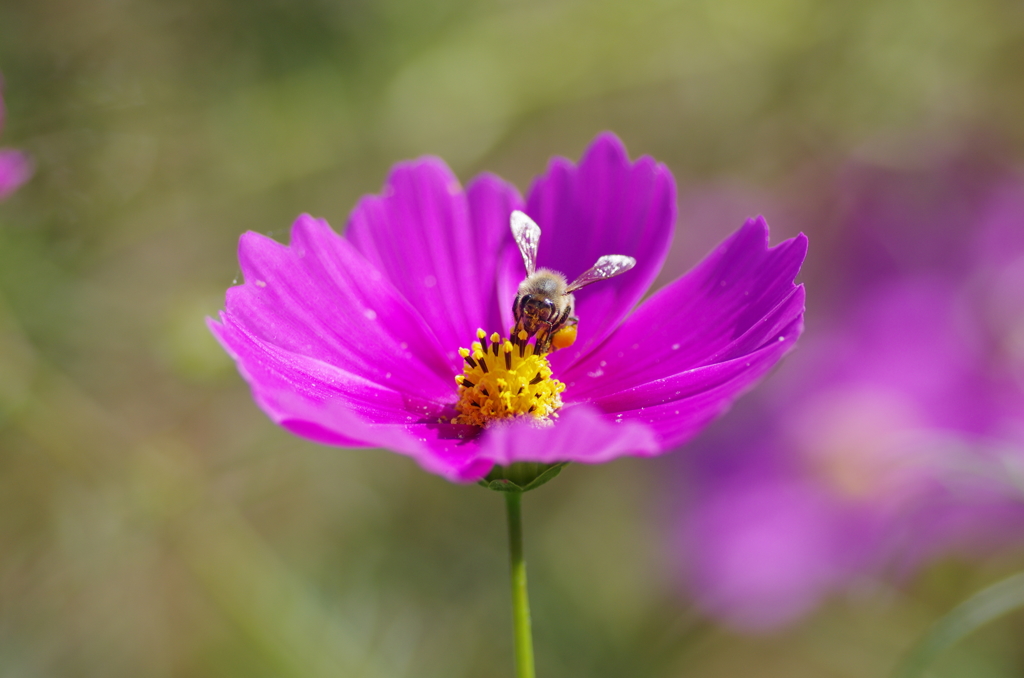 IMGP2935