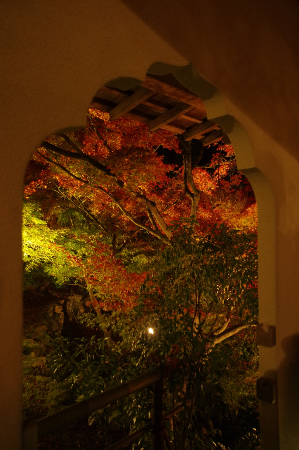 永観堂紅葉ライトアップ