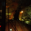 叡山電鉄紅葉トンネル