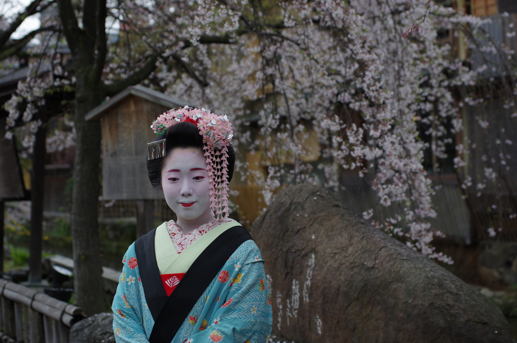 祇園白川芸舞妓散歩