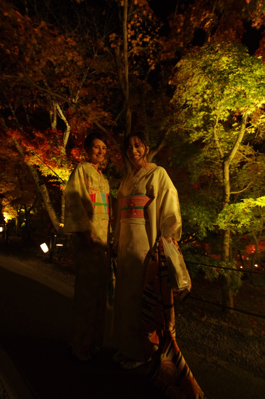 永観堂紅葉ライトアップ