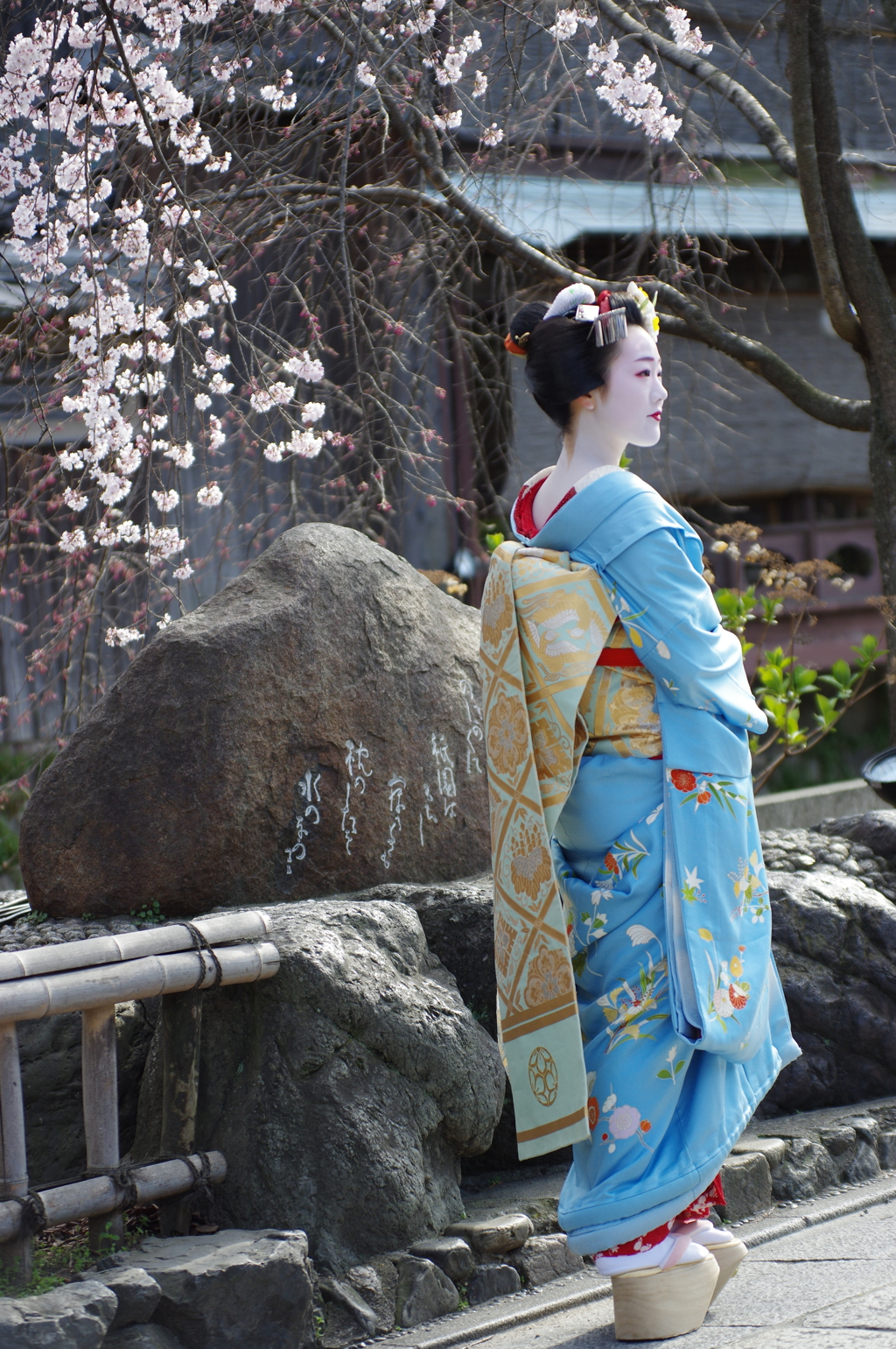 祇園白川芸舞妓散歩