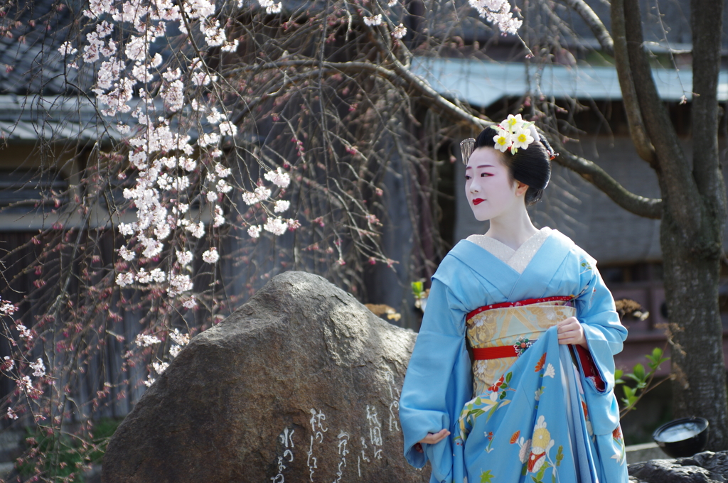 祇園白川芸舞妓散歩