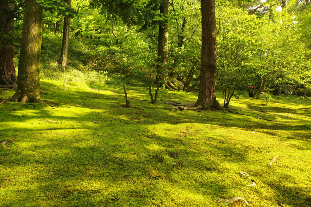 兼六園