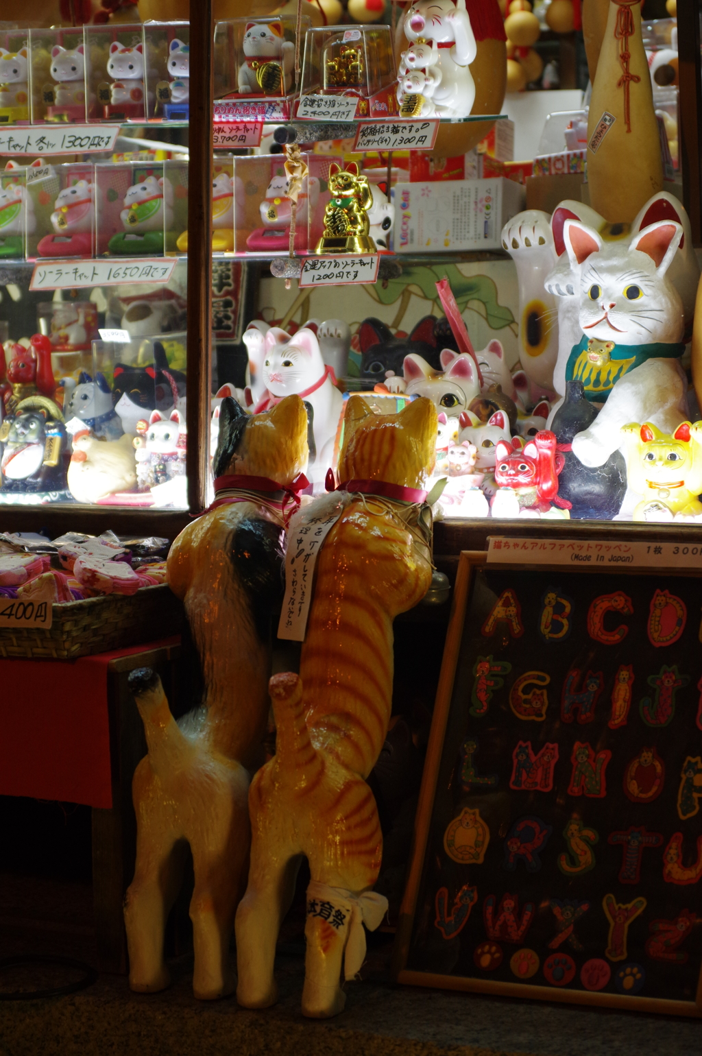 産寧坂の猫