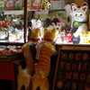 産寧坂の猫