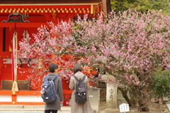 北野天満宮にて