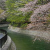 山科疎水Ⅱ