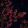 ひそかに