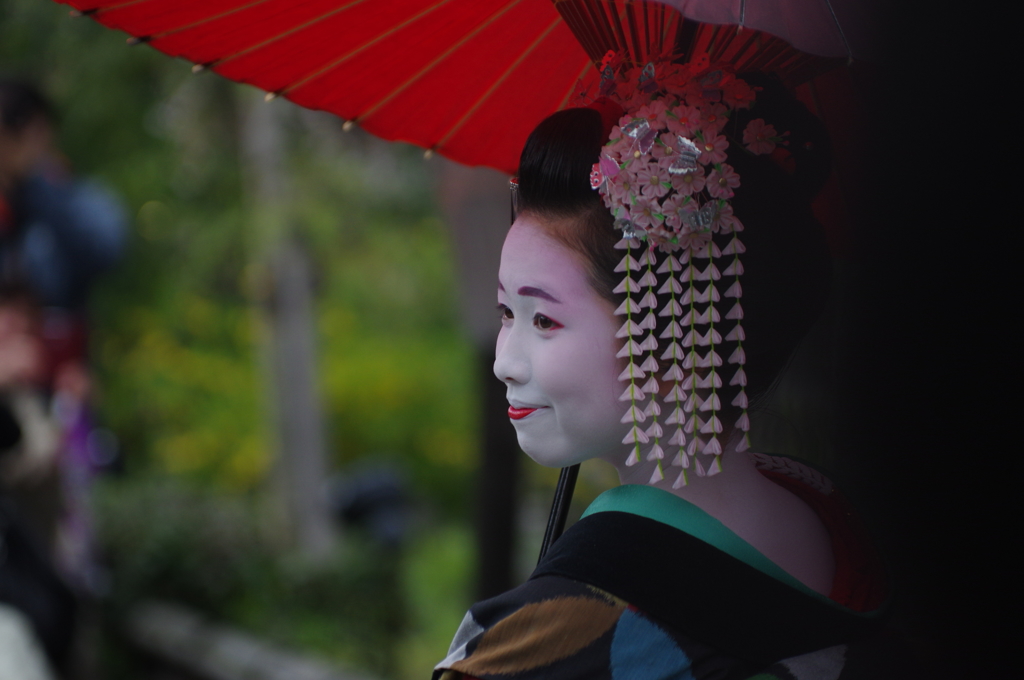 祇園白川芸舞妓散歩
