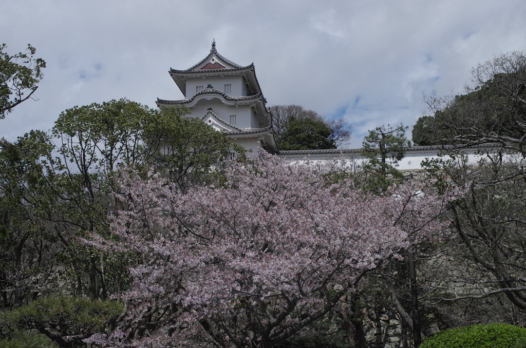坤櫓