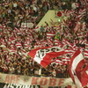 IMGP0861