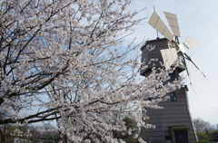 琵琶湖の風車