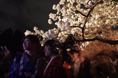 桜毬