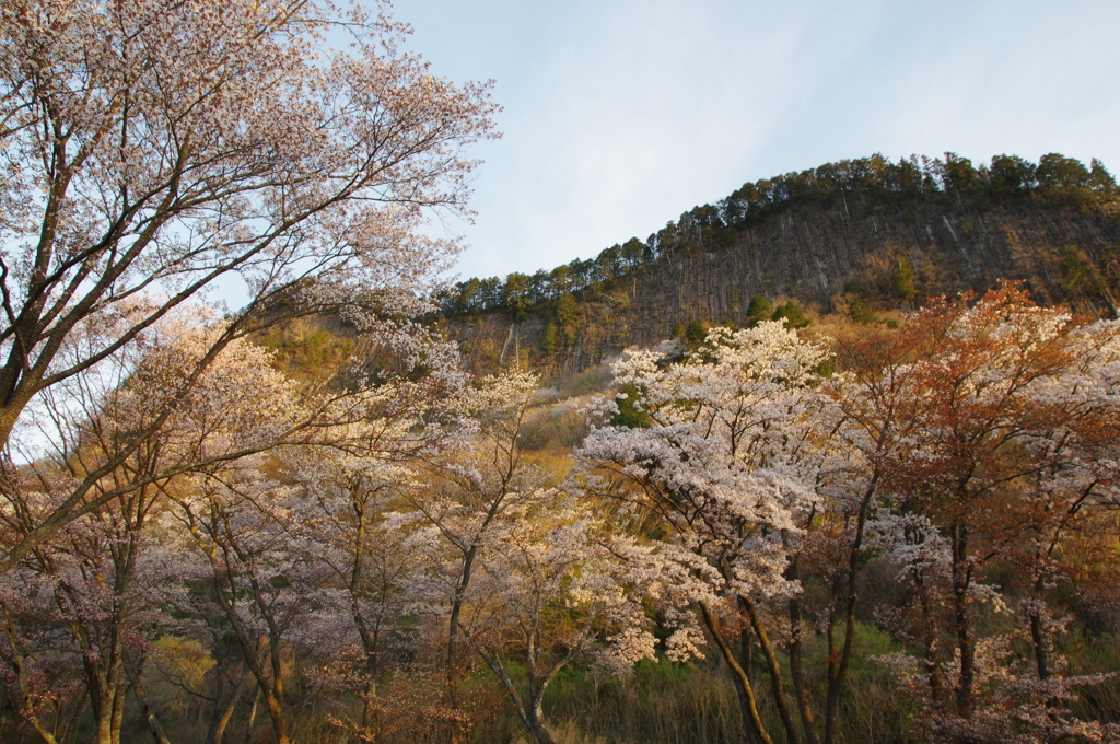 屏風岩の朝