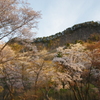 屏風岩の朝