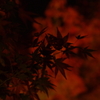 高台寺圓徳院