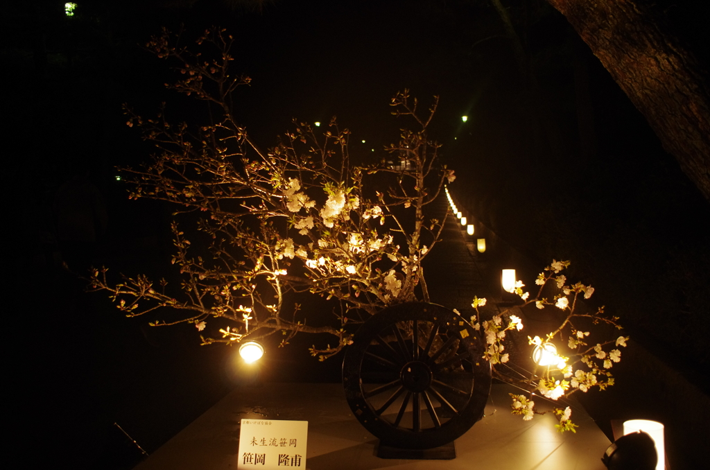 京都東山花灯路２０１５