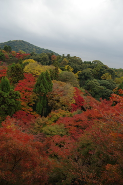 清水寺