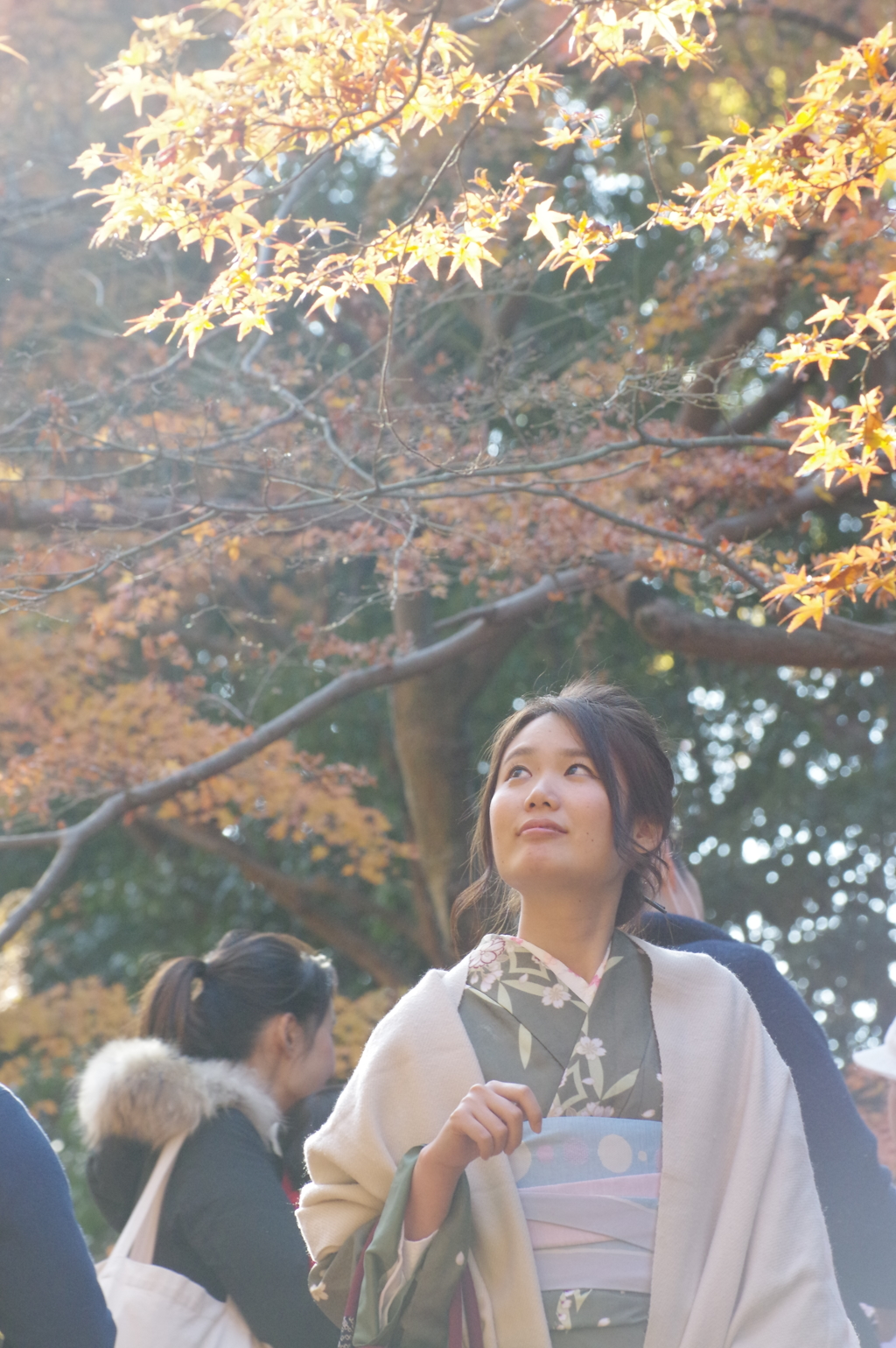 京都着物美人散歩