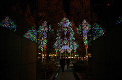 luminarie ⅩⅧ