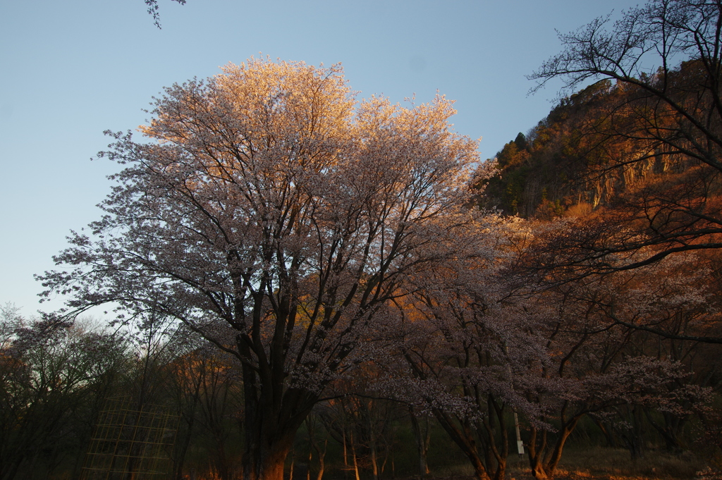 屏風岩公苑