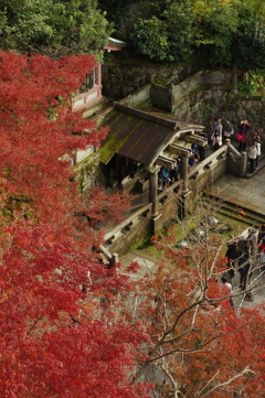 清水寺音羽の滝