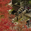 清水寺音羽の滝
