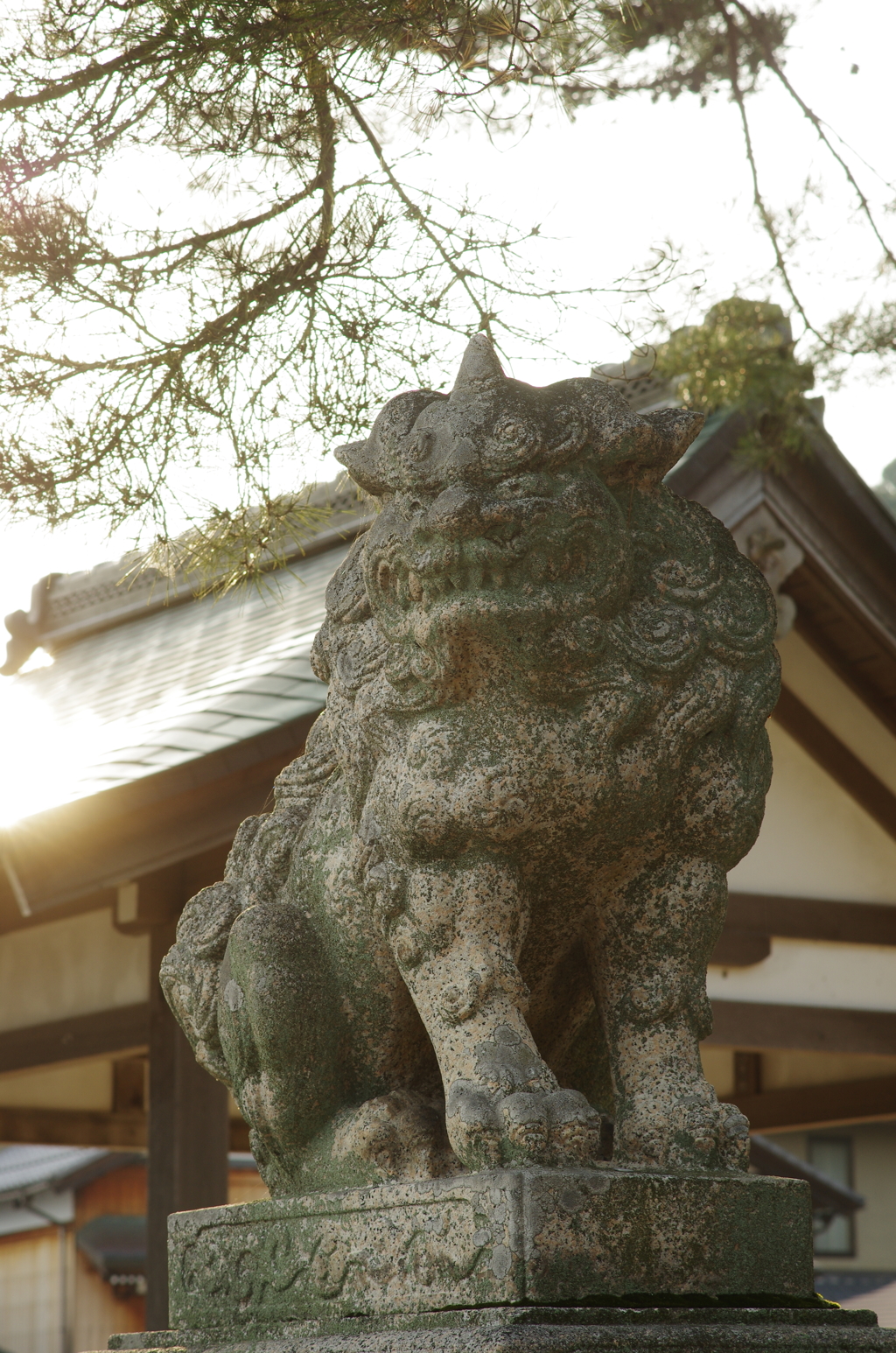 白鬚神社の狛犬