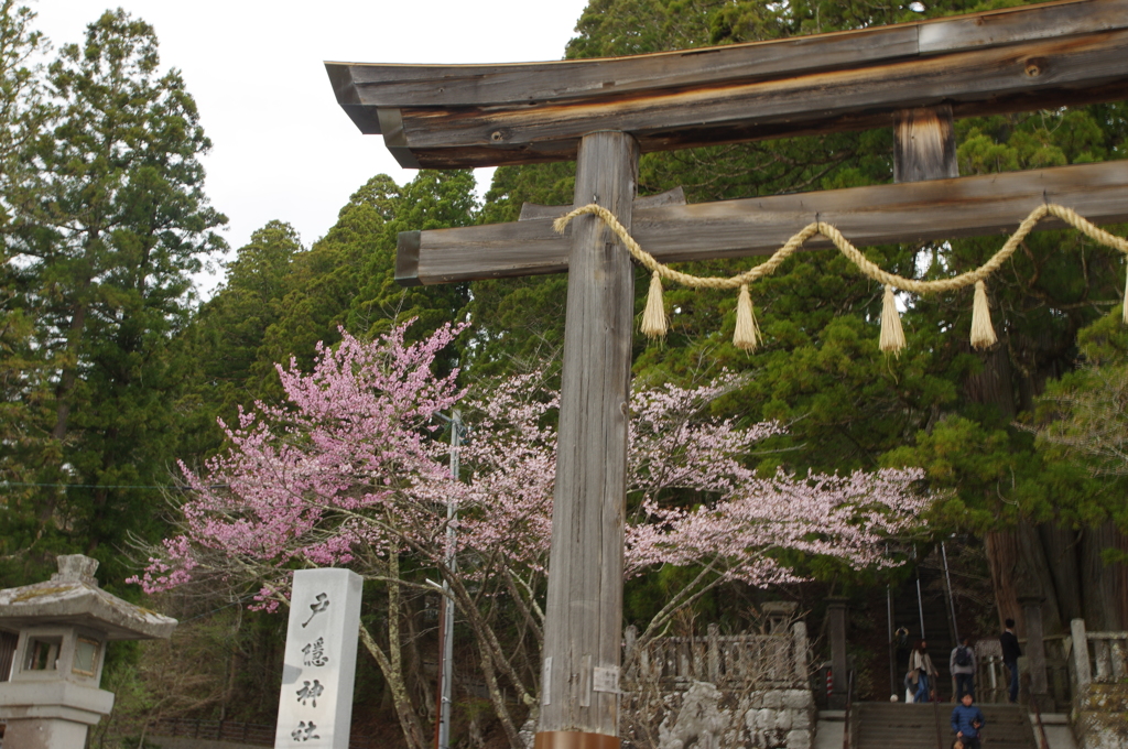 戸隠神社中宮