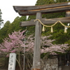 戸隠神社中宮