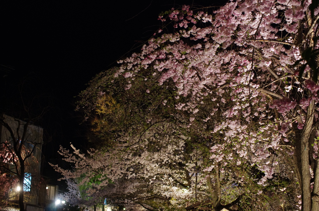 祗園新橋夜景