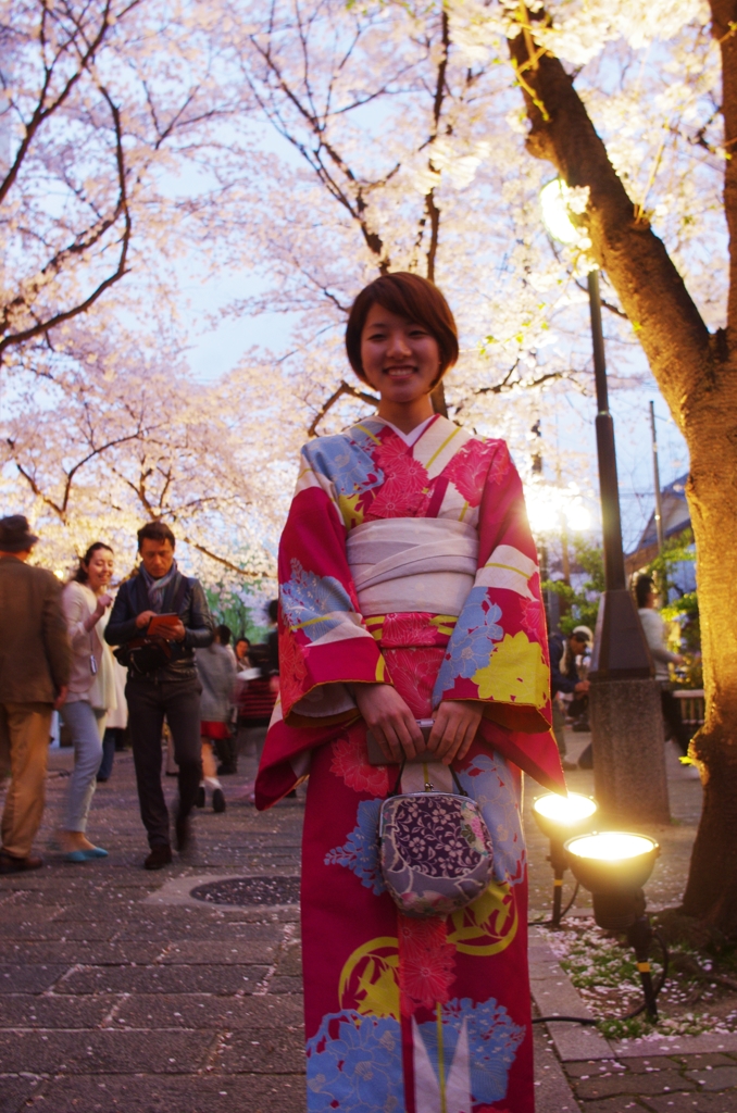 京都着物美人散歩