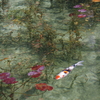 IMGP4018