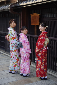 京都着物美人散歩