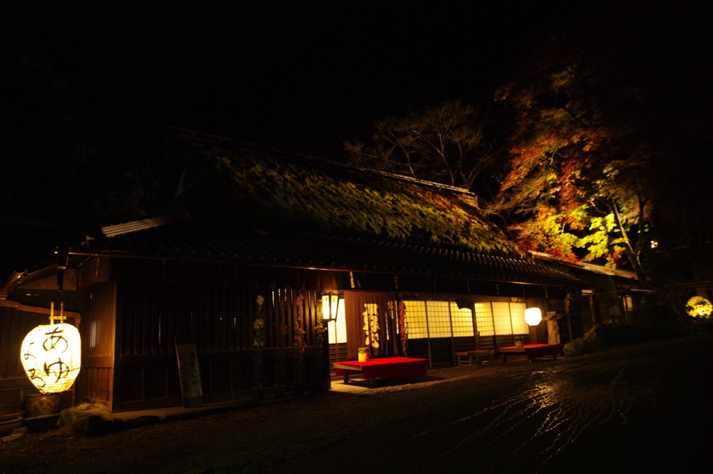 あゆよろし　平野屋