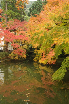 清水寺