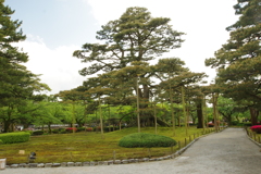 兼六園