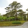 兼六園