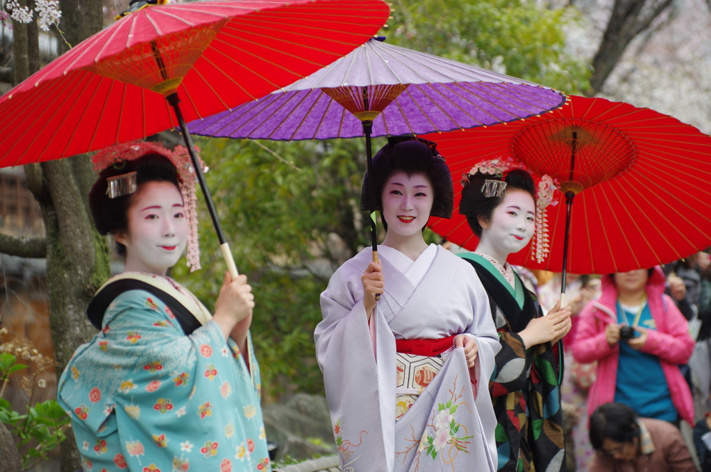 祇園白川芸舞妓散歩